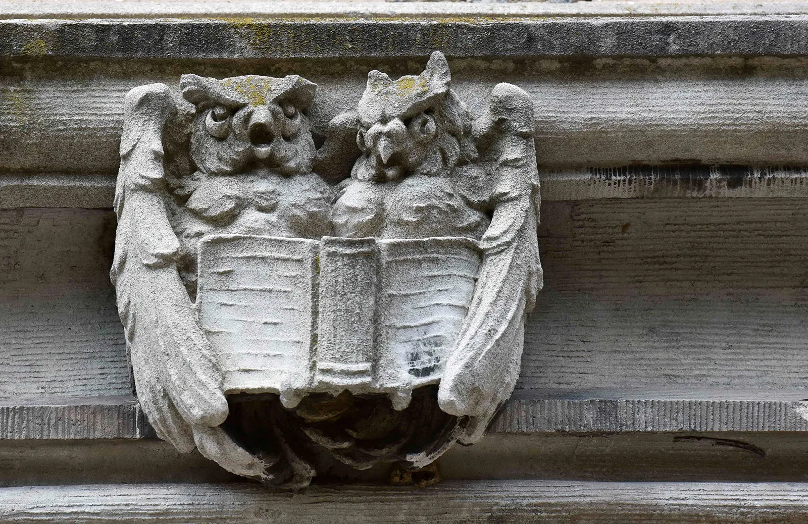 Event Image Placeholder - Default Image 128