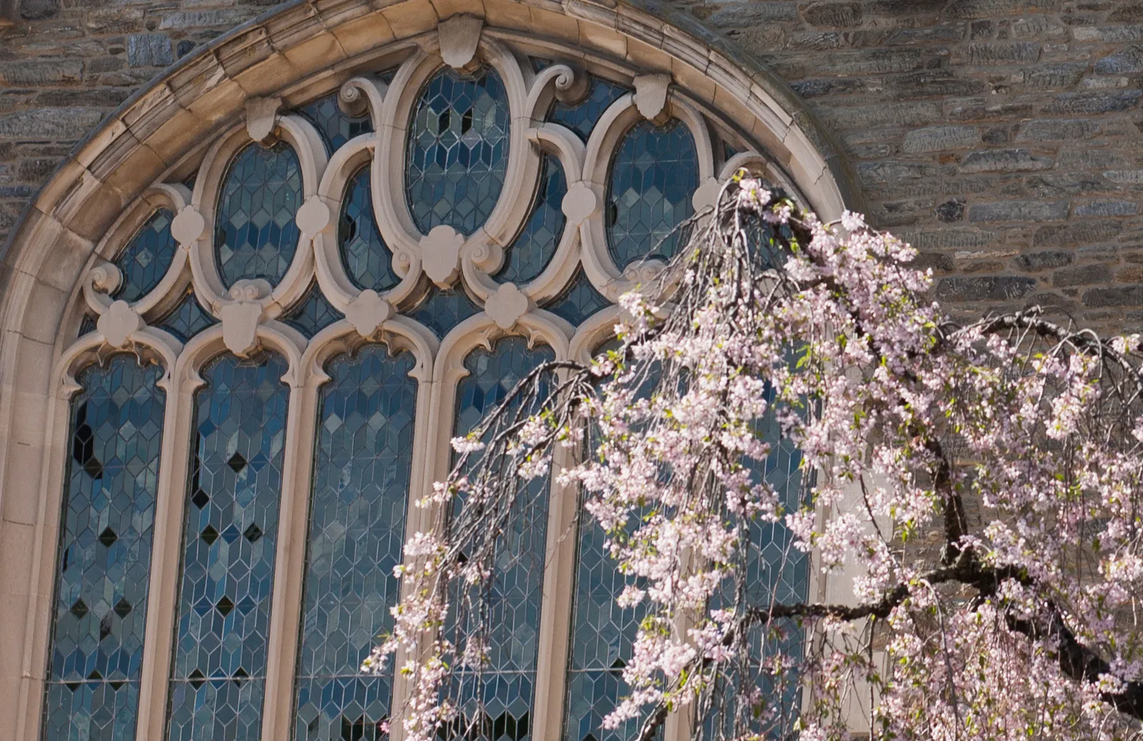 Event Image Placeholder - Default Image 90