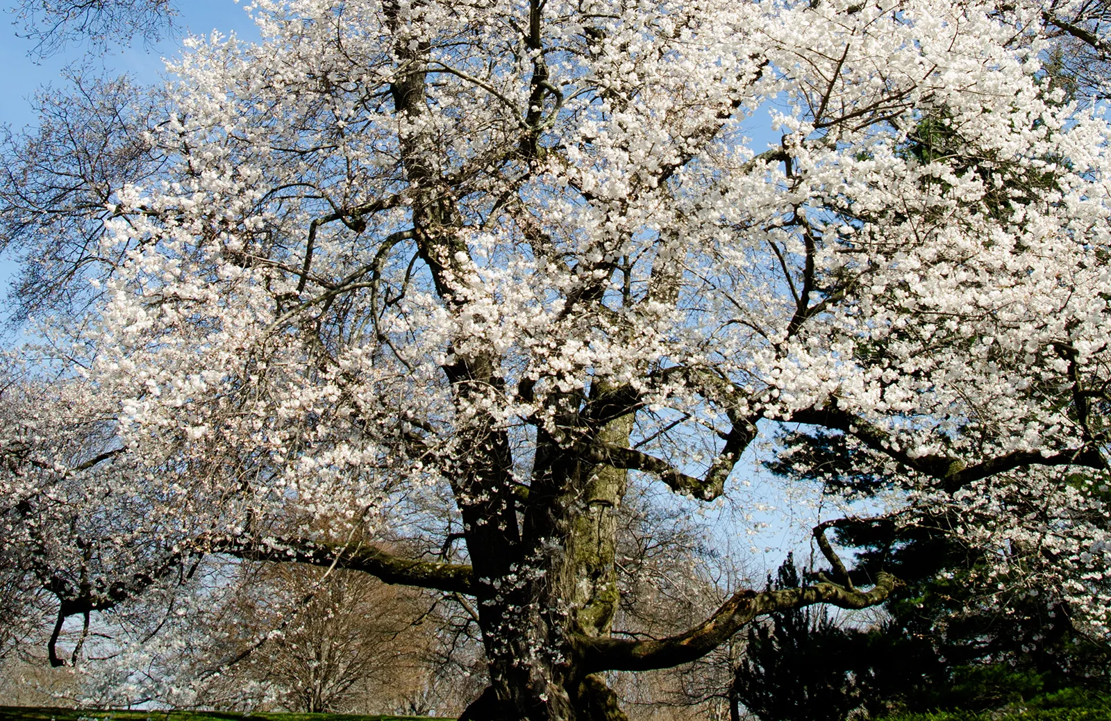 Event Image Placeholder - Default Image 85