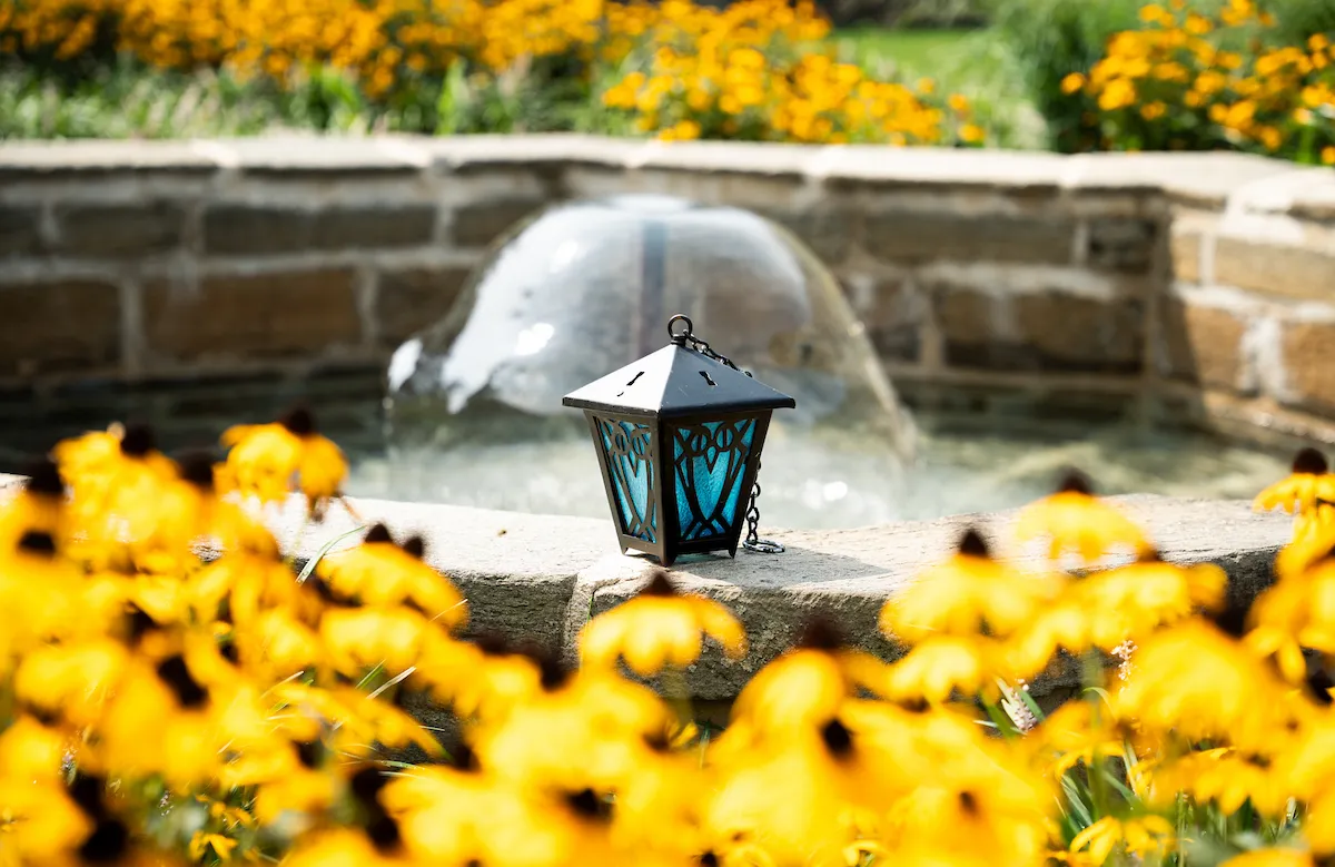 Lantern and flowers