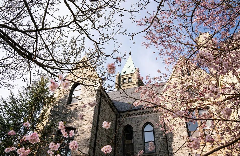 Taylor Hall with pink spring blooms