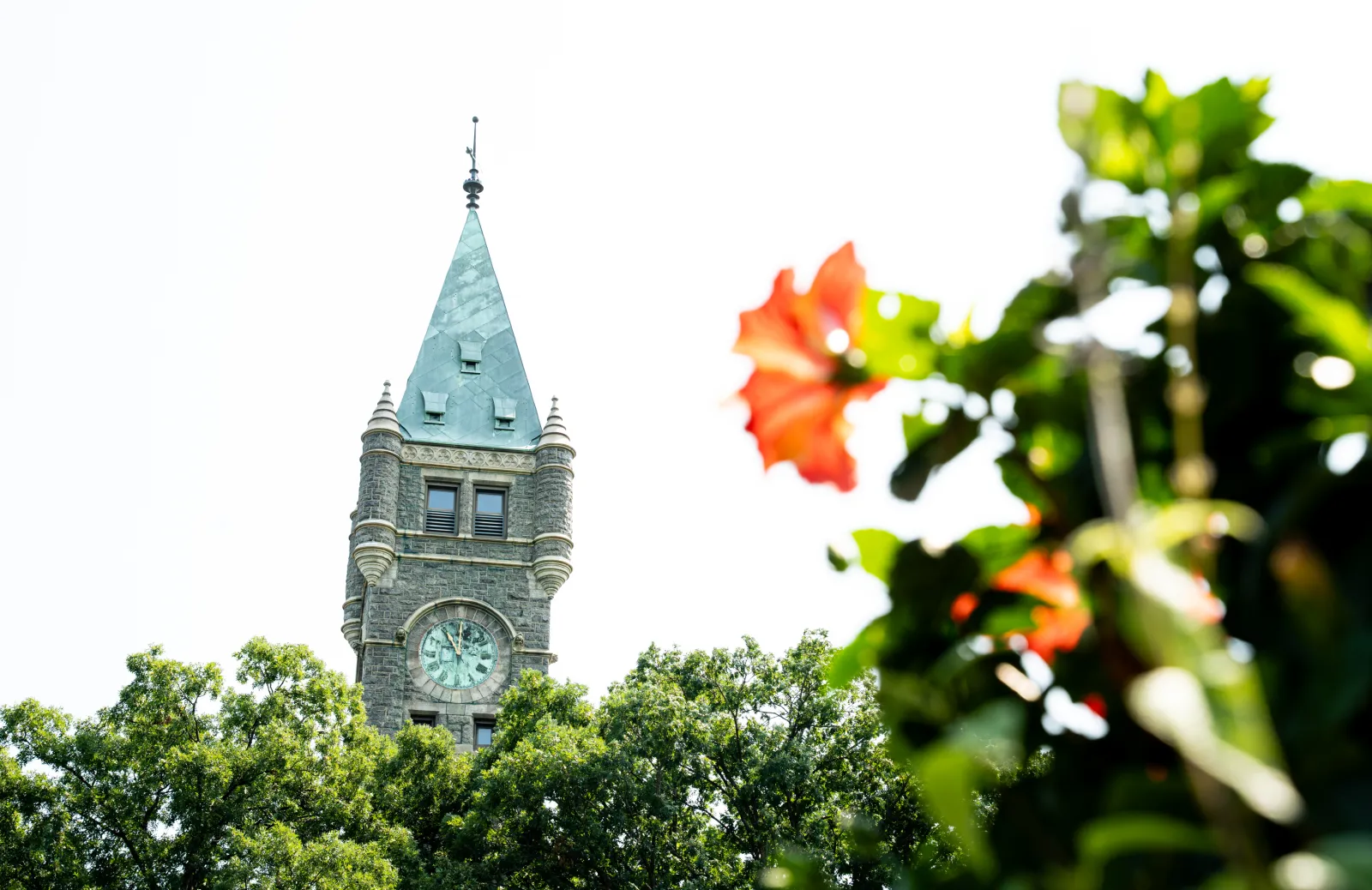 Picture of the clock tower