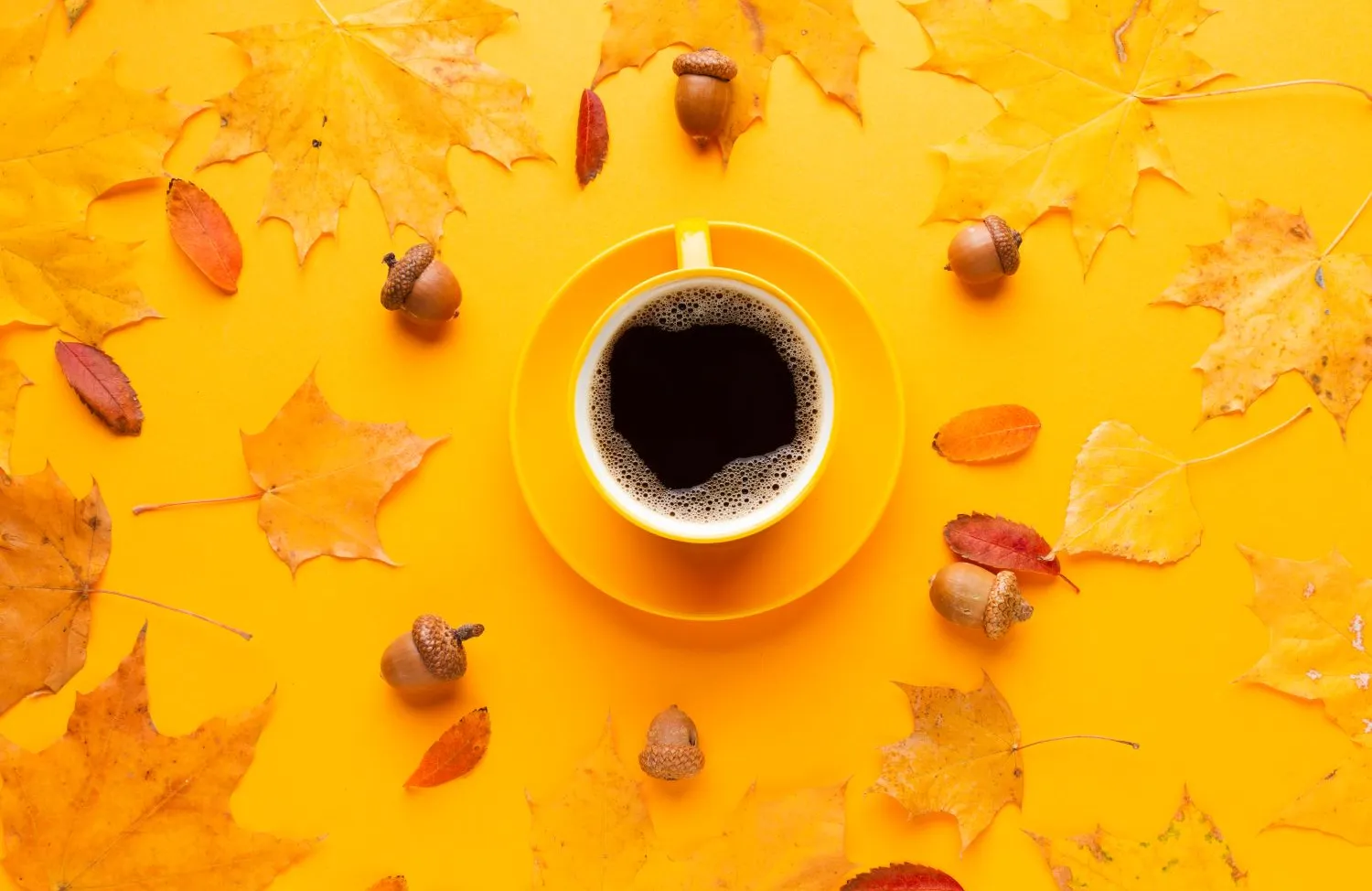 Coffee Hour stock
