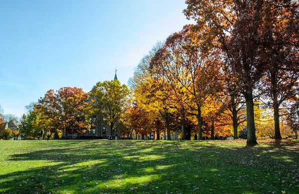 Merion Green and autumn trees with Taylor Hall in the distance