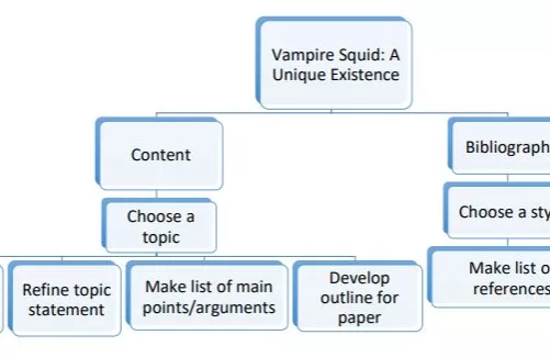 Project management flow chart shows some branching areas. (Not readable in image; described in document)
