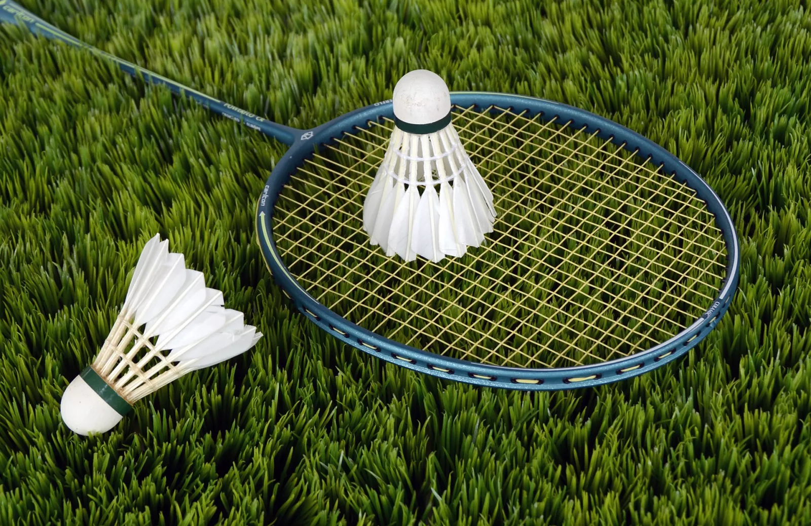 Birdie and racquet