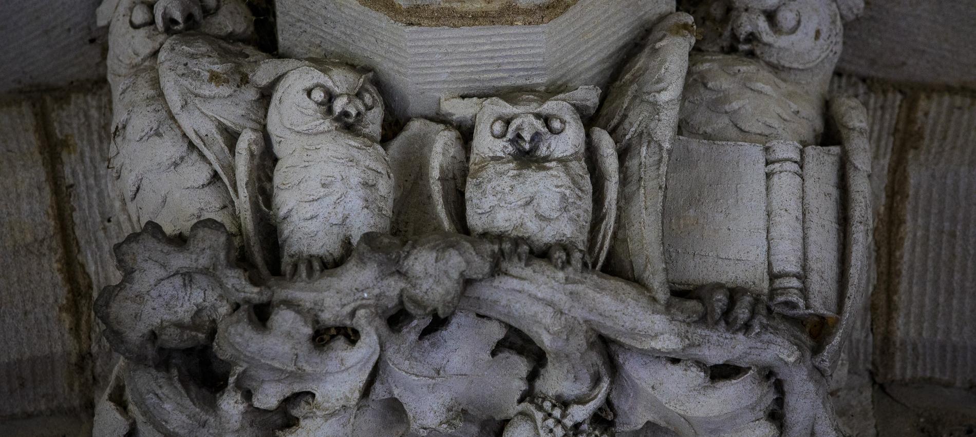 owl ornamentation on building