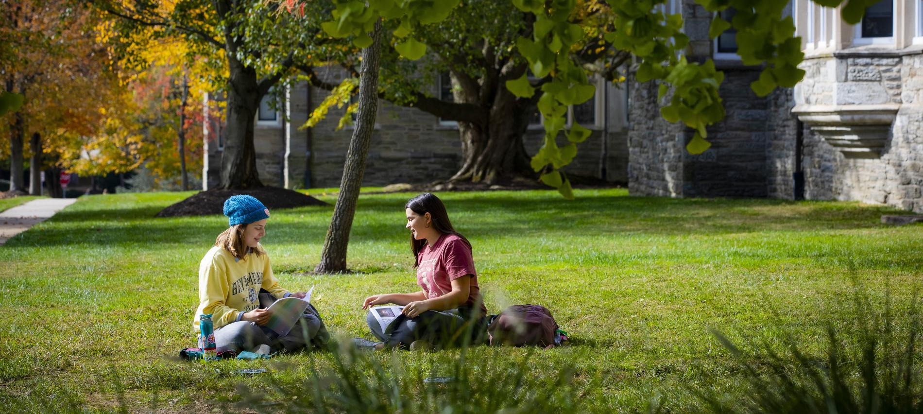 students sitting in grass studying