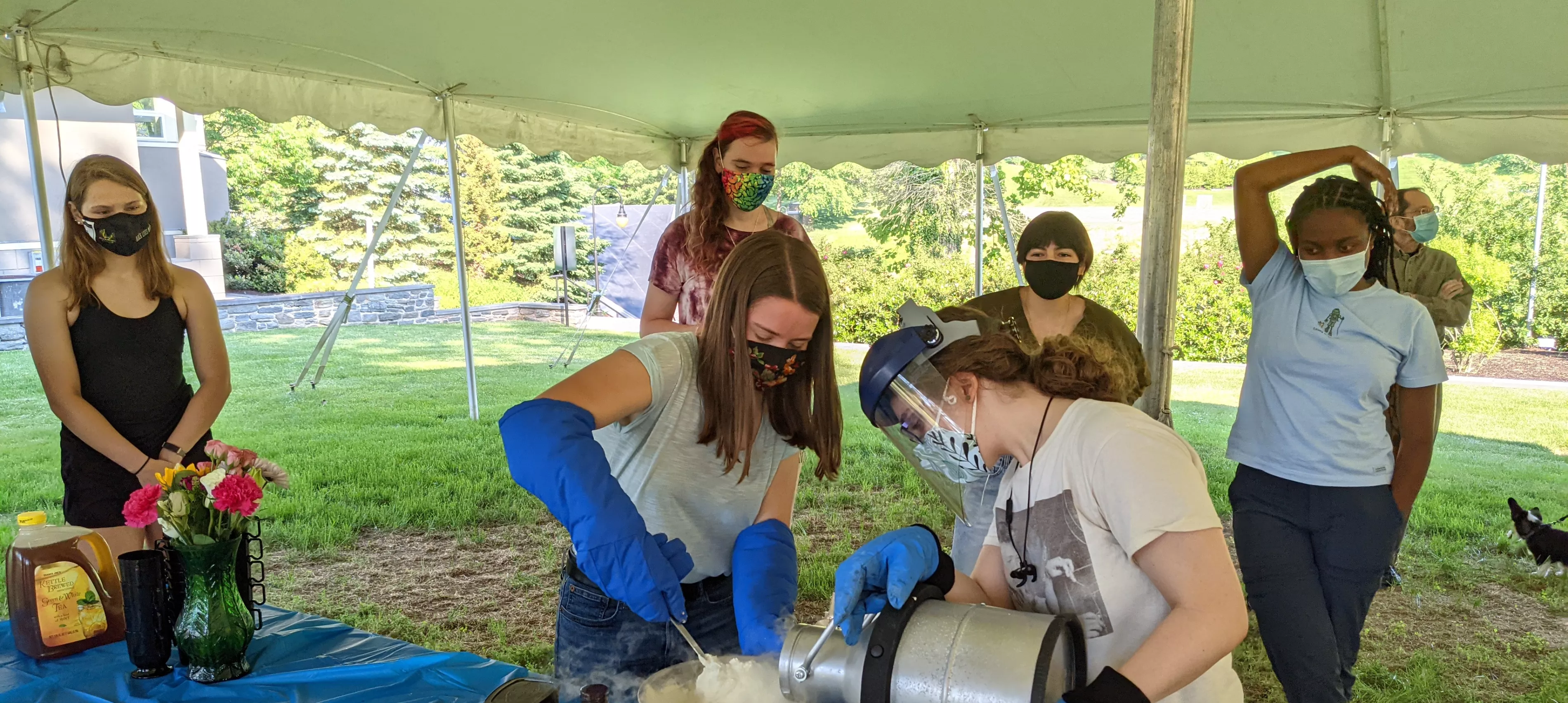 physics picnic 2021
