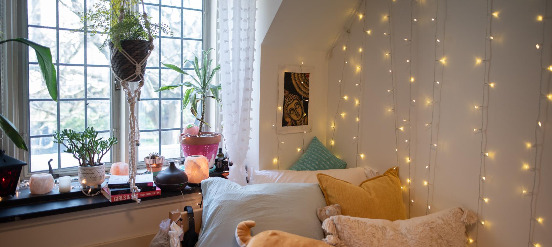 Dorm Room with twinkle lights and plants