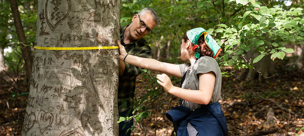a student and professor measuring a tree