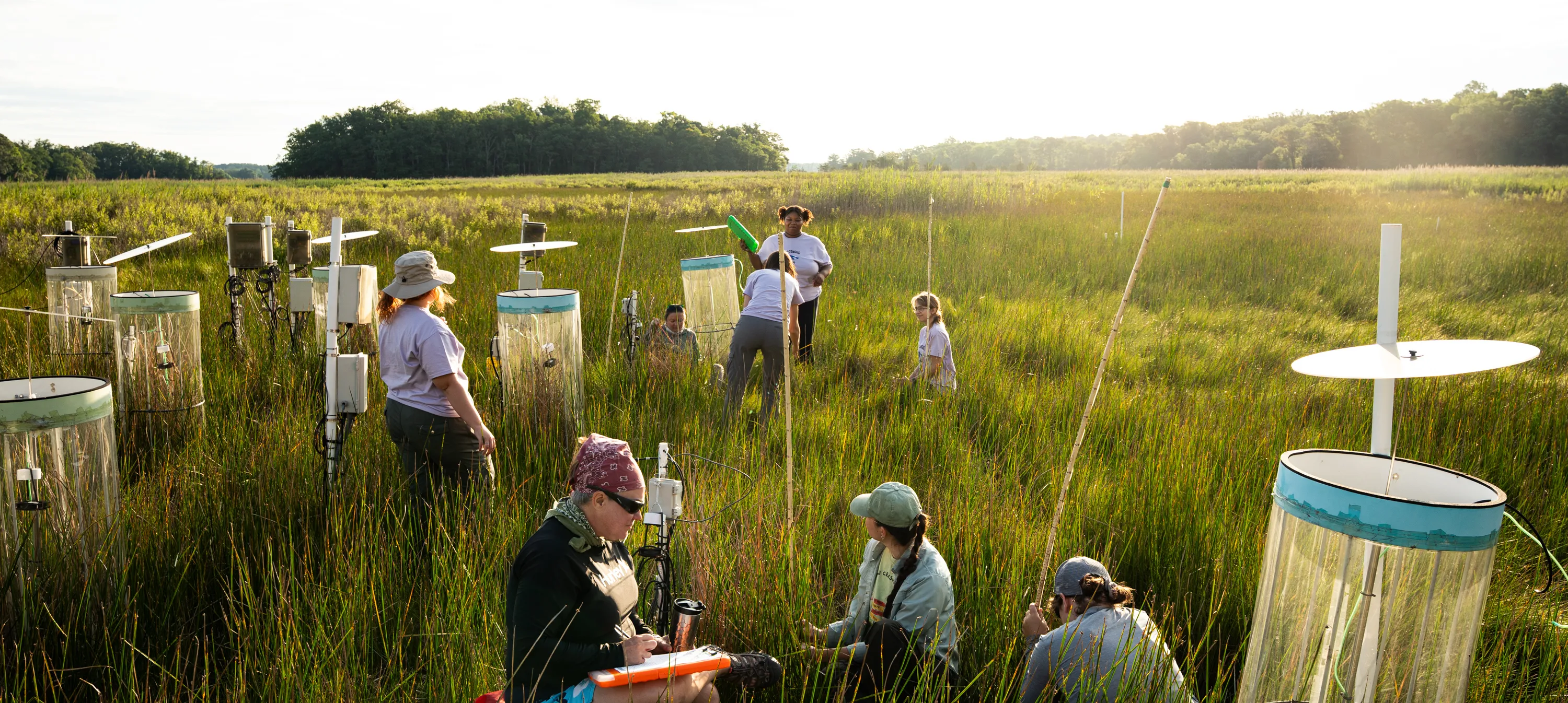 biology students working in the field