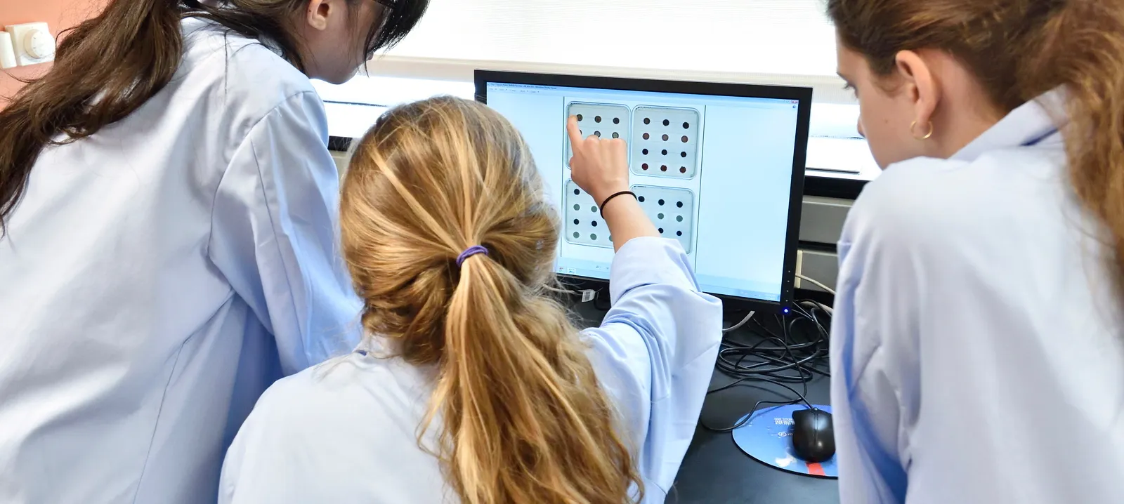 Biology students look at data on a computer