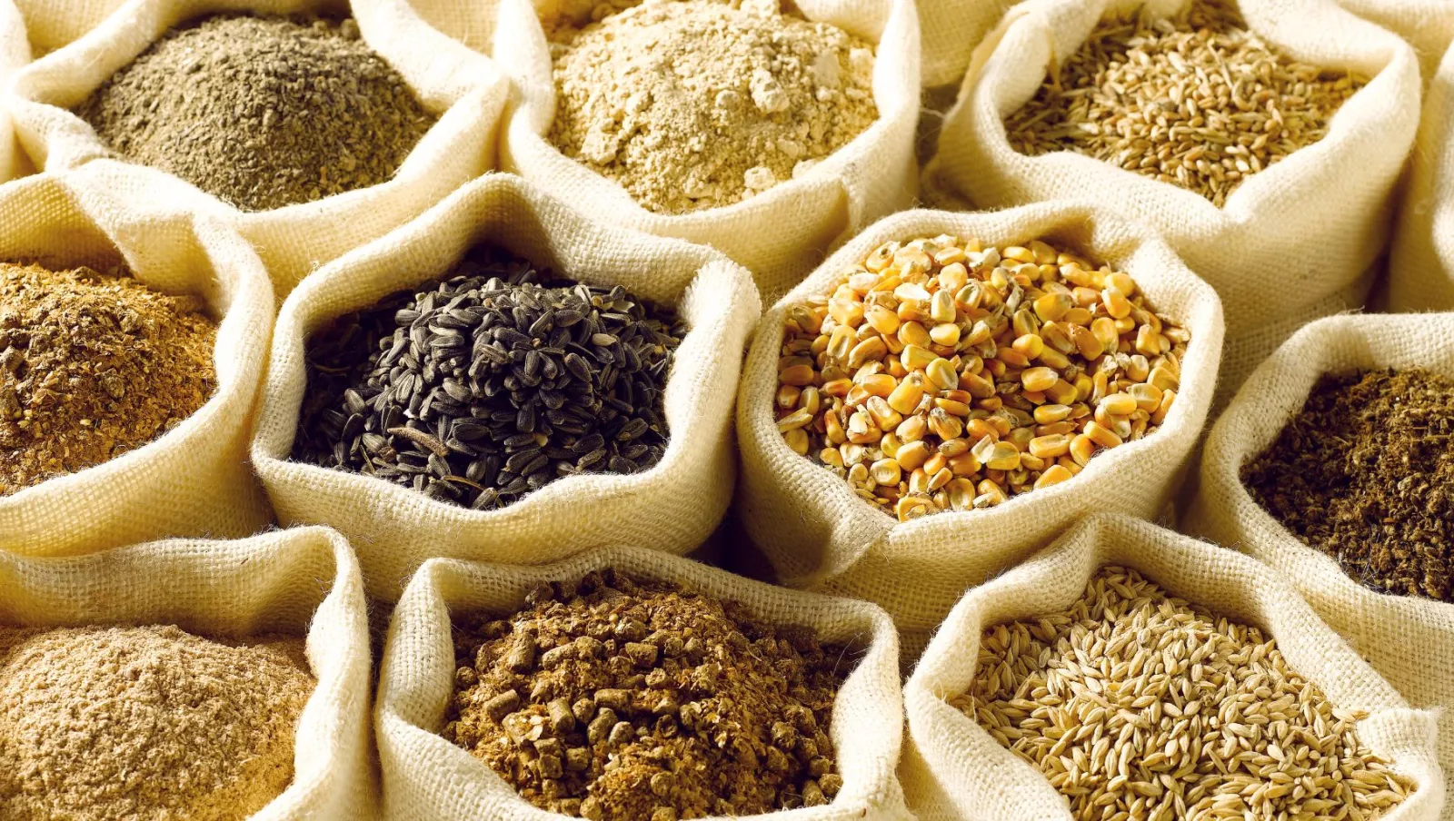 Bags of grain