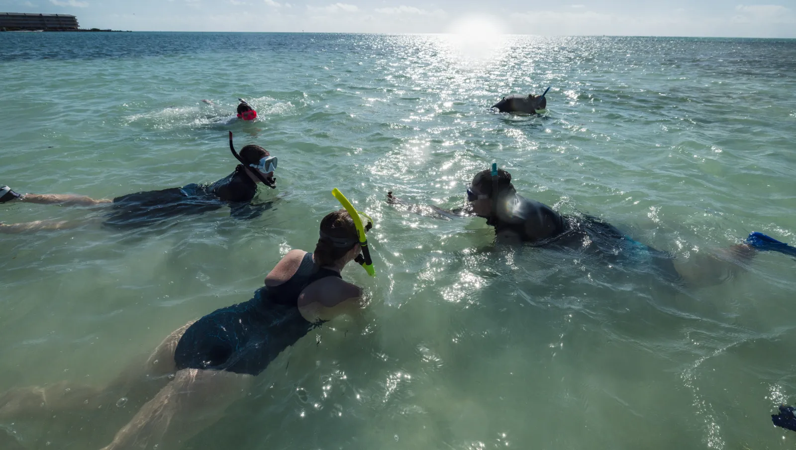 Several swimmers snorkel in clear, pale blue-green water and converge on a single point as the sun reflects off the horizon