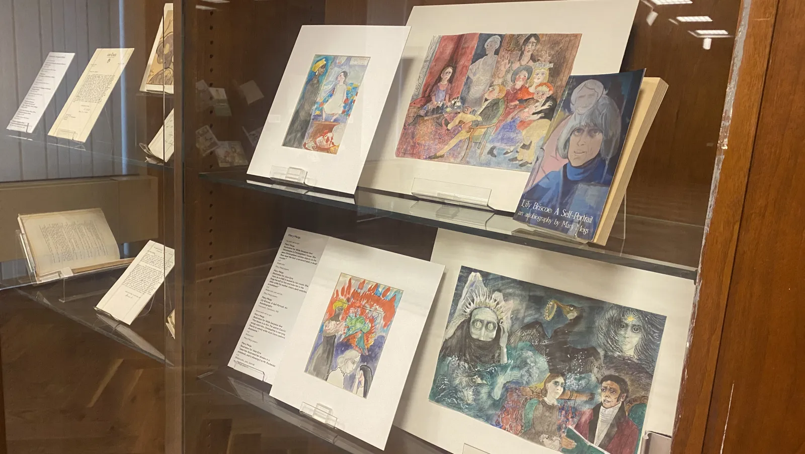Display case showing art and a book related to Mary Meigs.