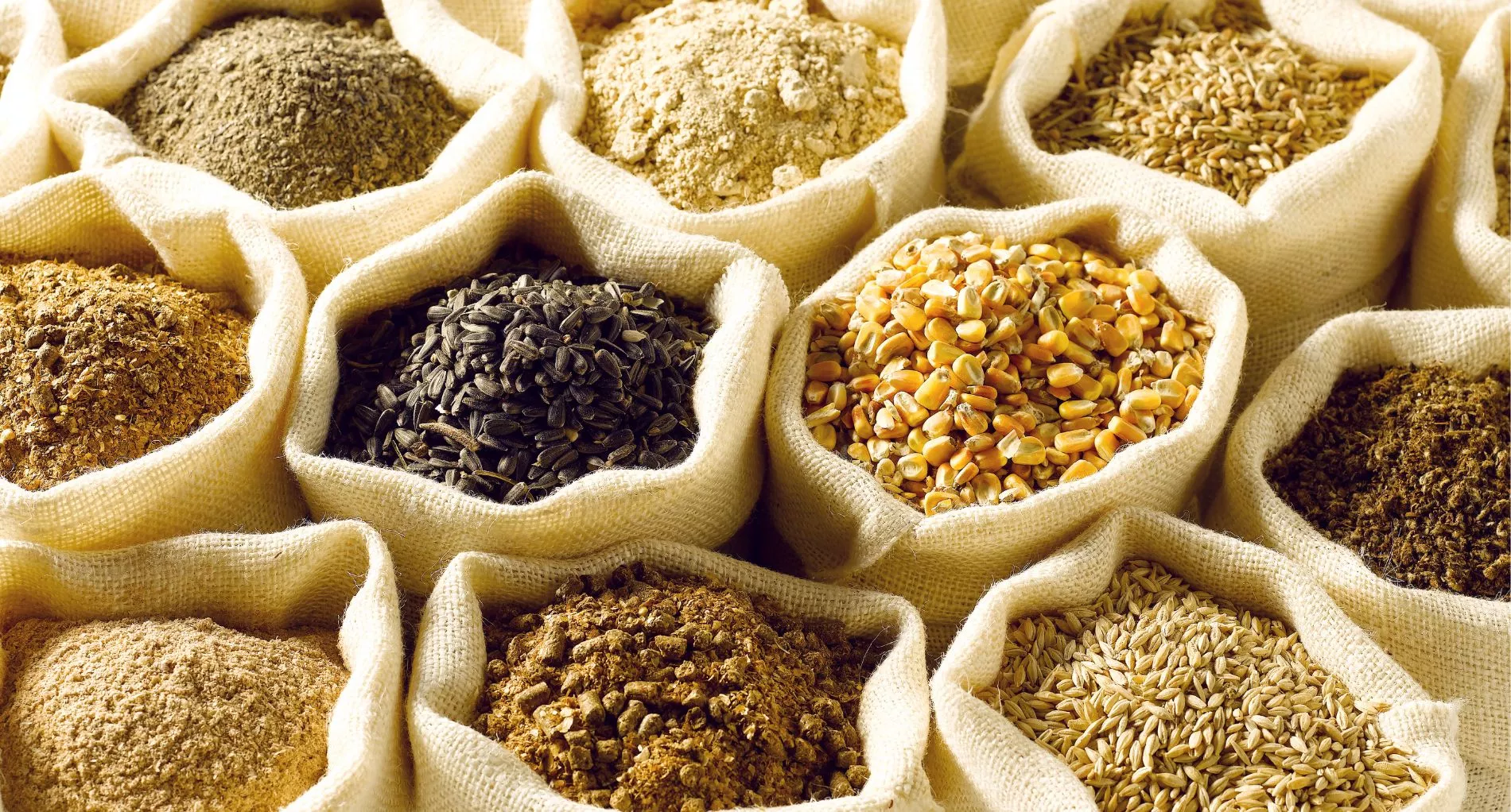 Bags of grain