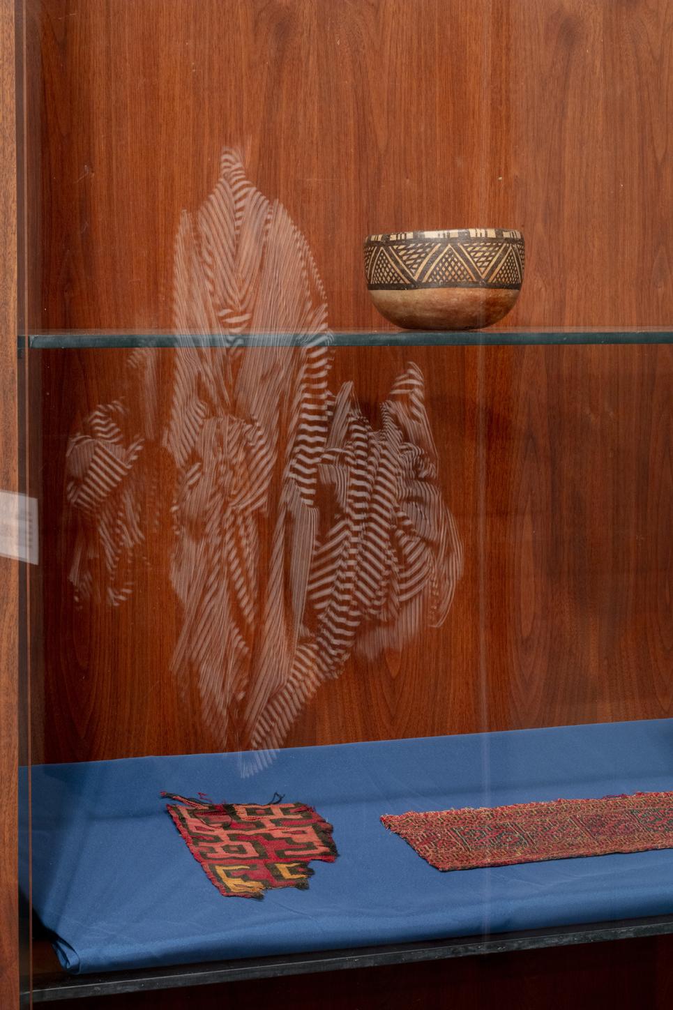 View of Peruvian textiles with reflection of The Dorsal, Not at Home exhibition