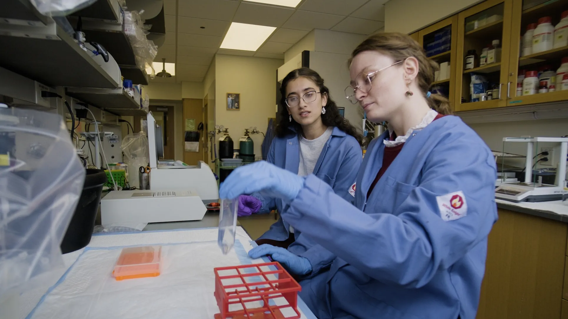 STEMLA lab photo