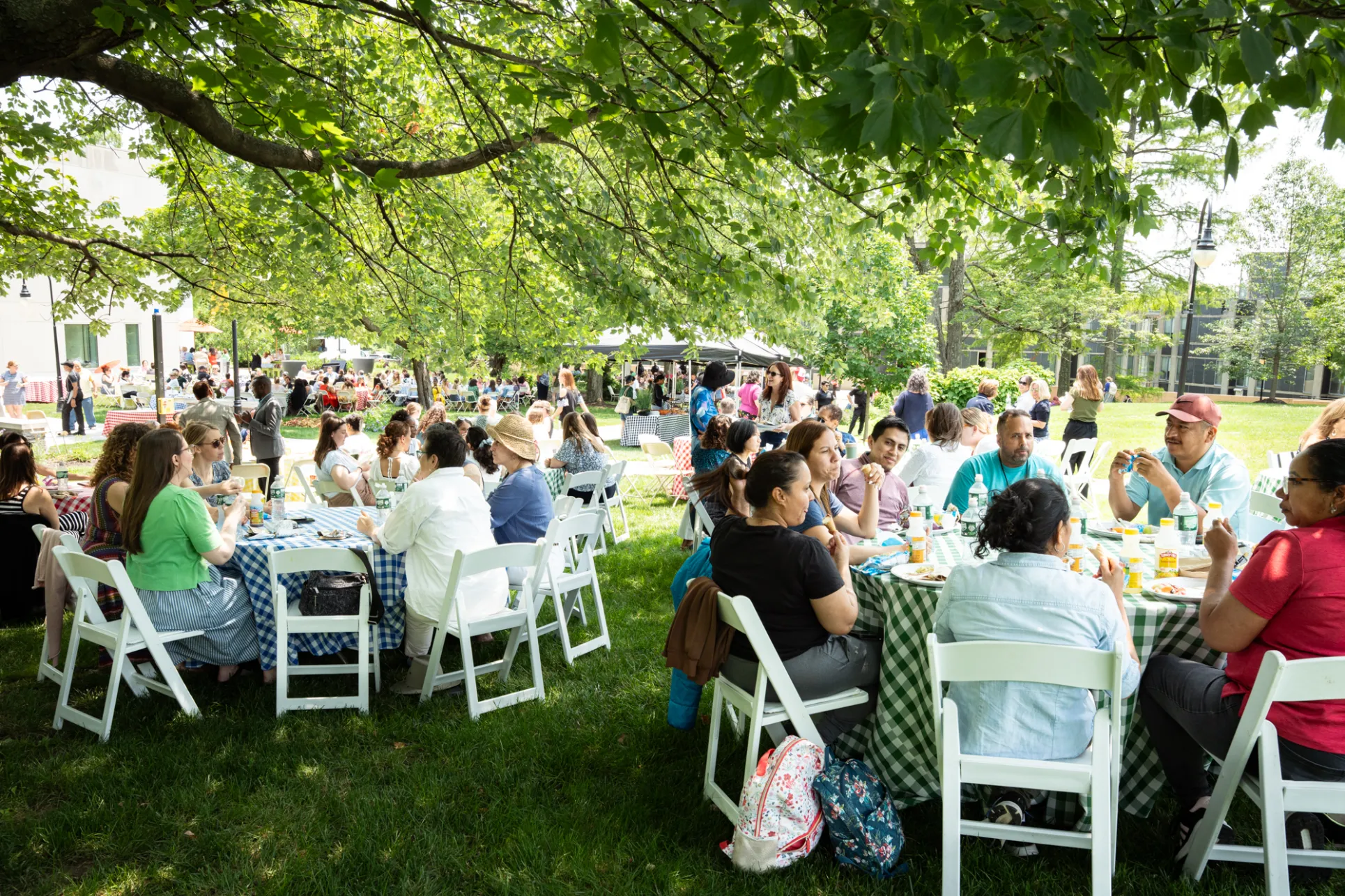 Staff sitting at tables under trees