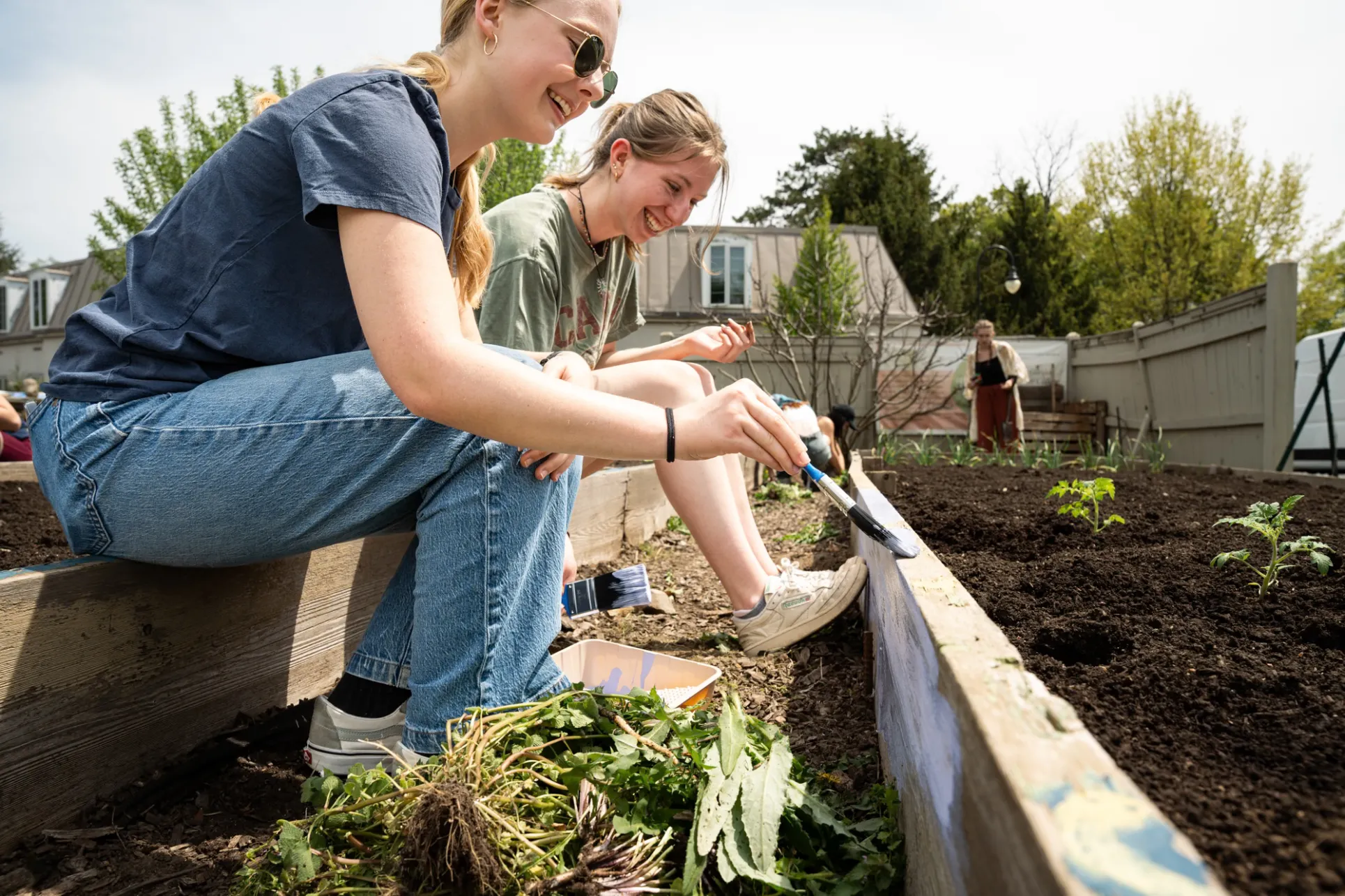 Two students paint a raised bed in the student garden