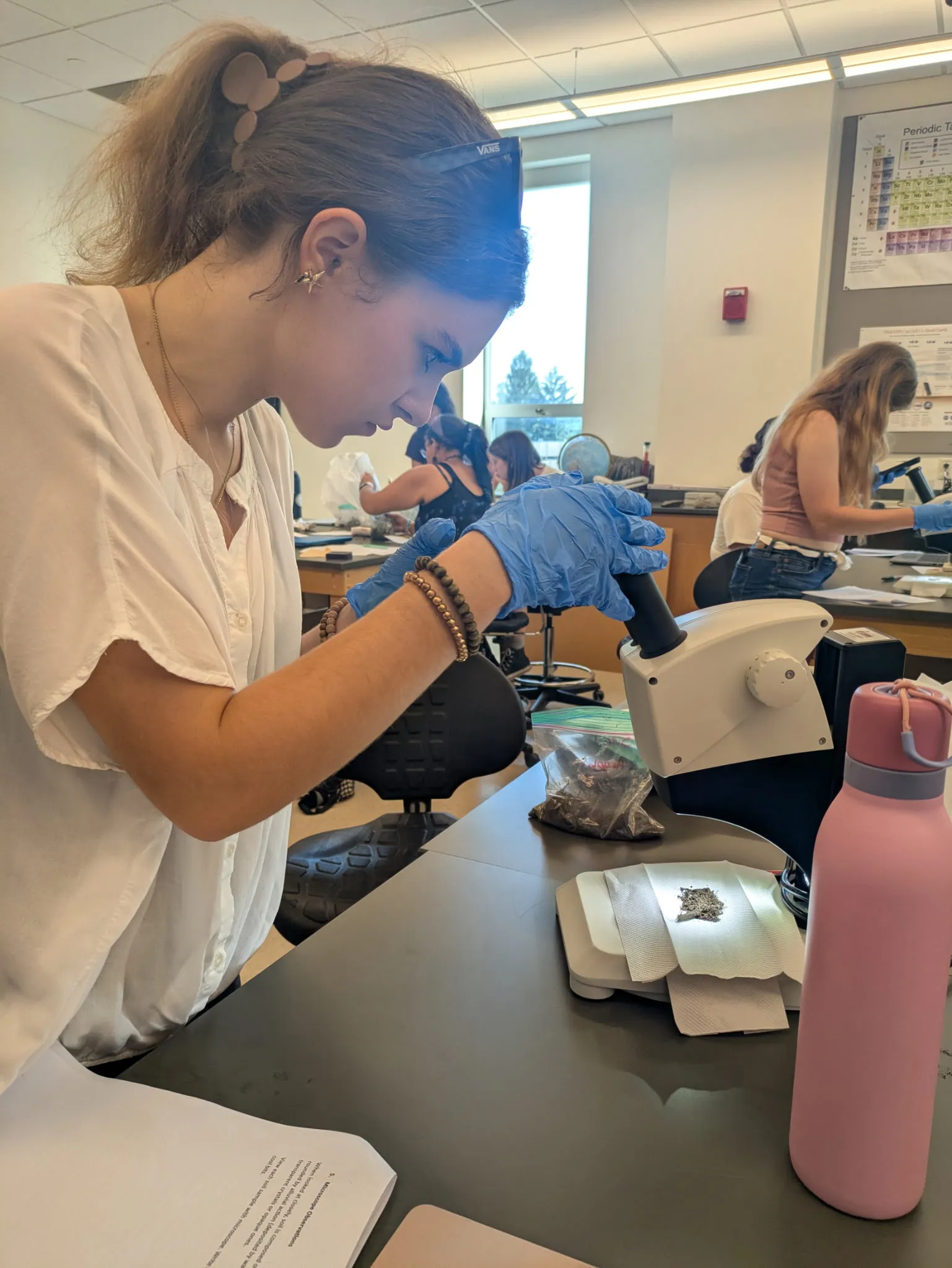 STEMLA Fellows examined samples in the lab 
