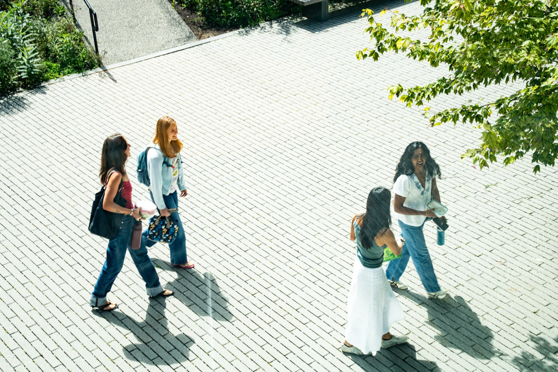 students walking on campus