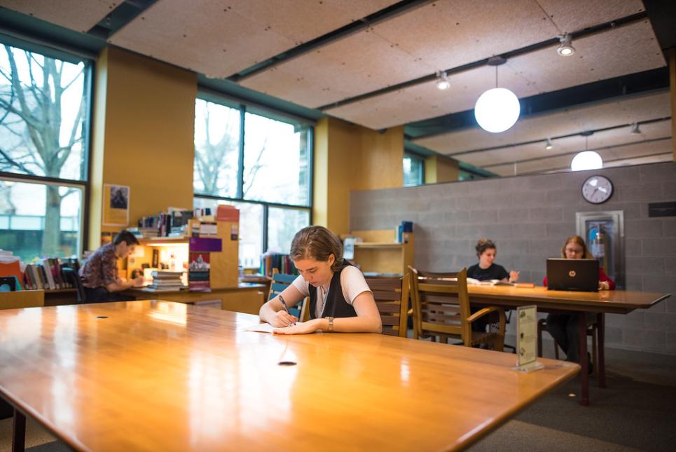 Graduate students work at carrels in Rhys Carpenter Library