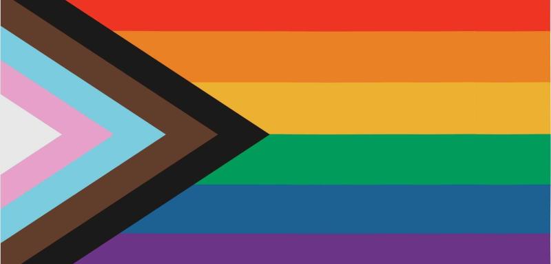 Rainbow flag with white, pink, blue, brown, and black chevrons on the left.