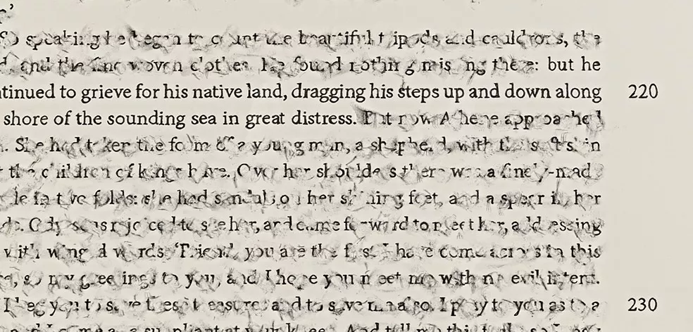 detail of work by artist Bethany Collins. Zoomed in to reveal erasure of text and remaining text "“but he continued to grieve for his native land, dragging his steps up and down along the shore of the sounding sea in great distress.” 