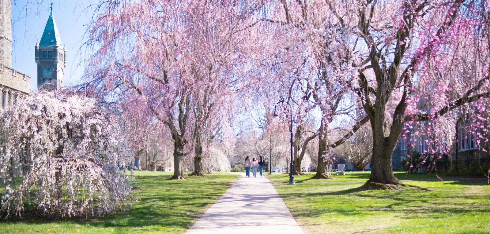 spring-campus