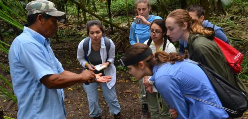 Group of 360 students in the field