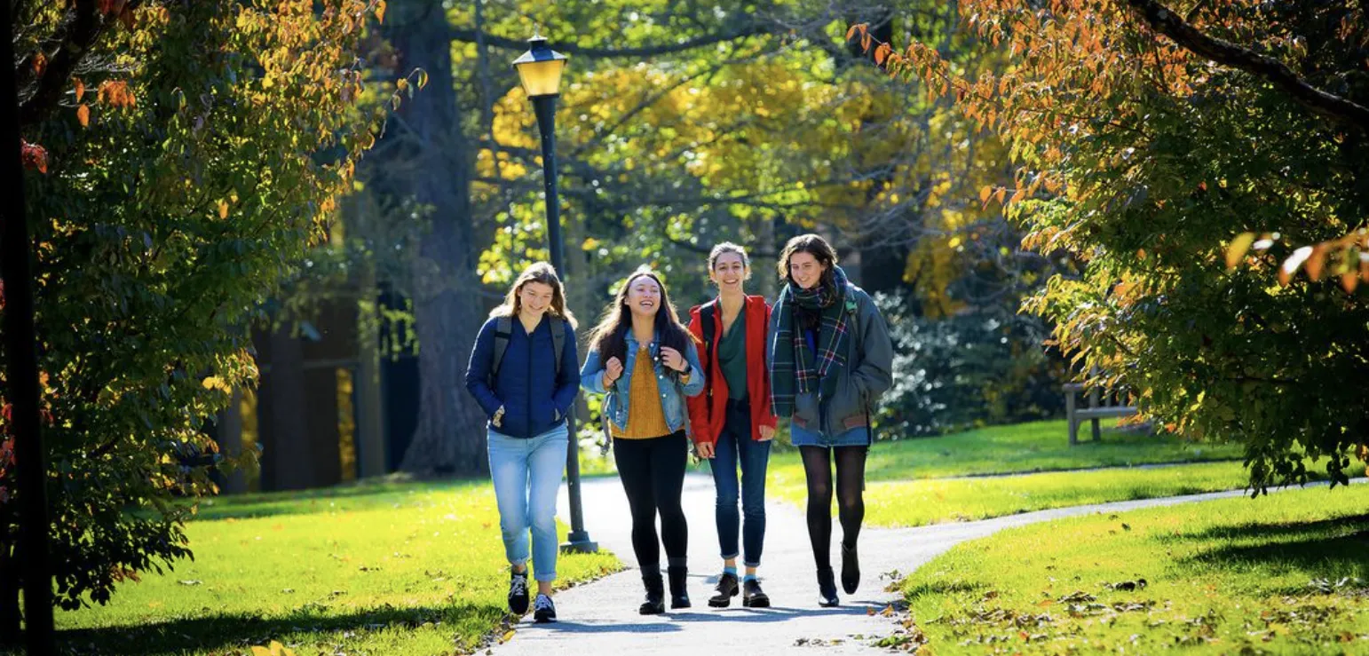 Group of four students walking on a path