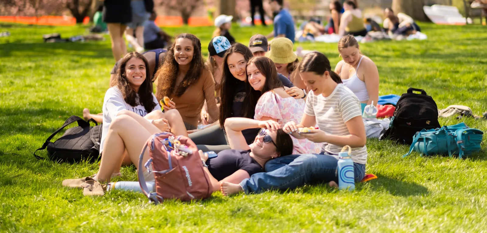students enjoying the sunny weather on Merion Green