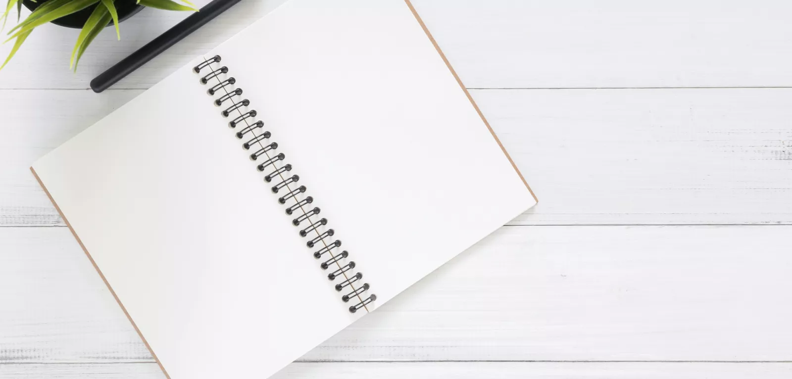 notebook with pencil and houseplant
