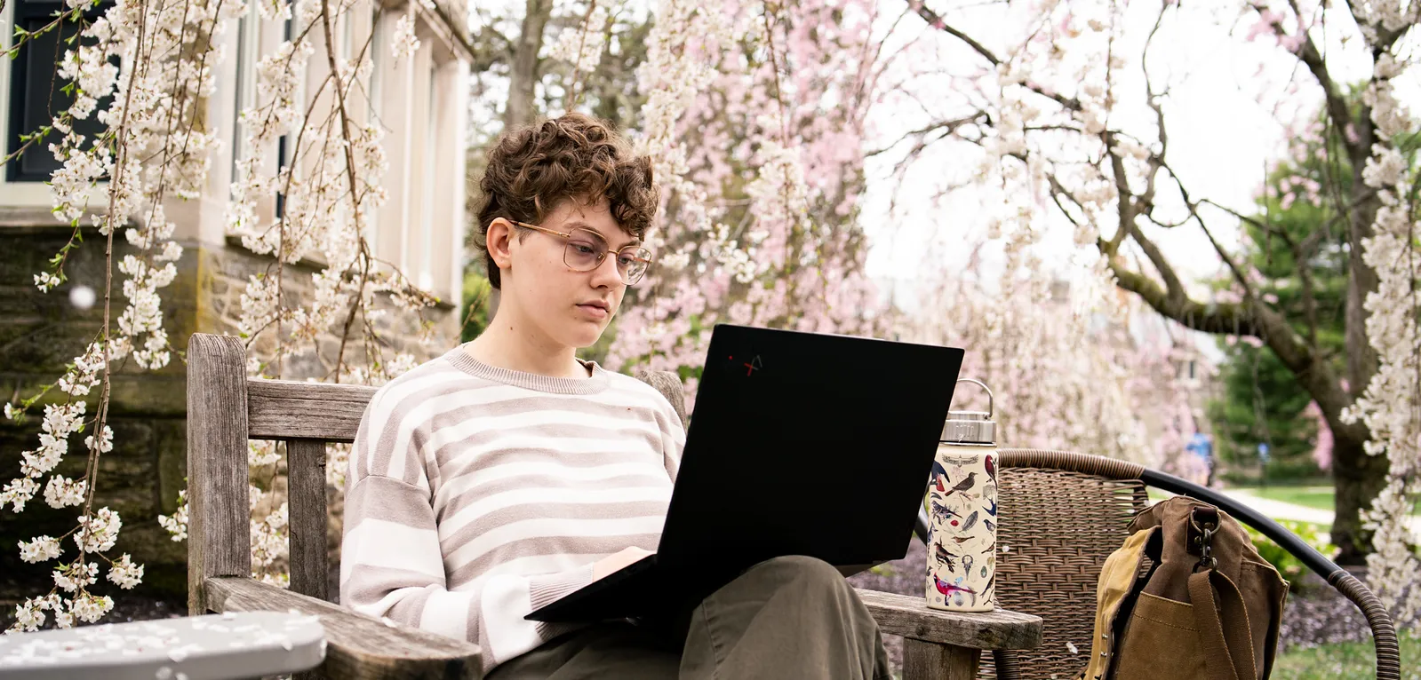 Student on a laptop under the cherry blossoms