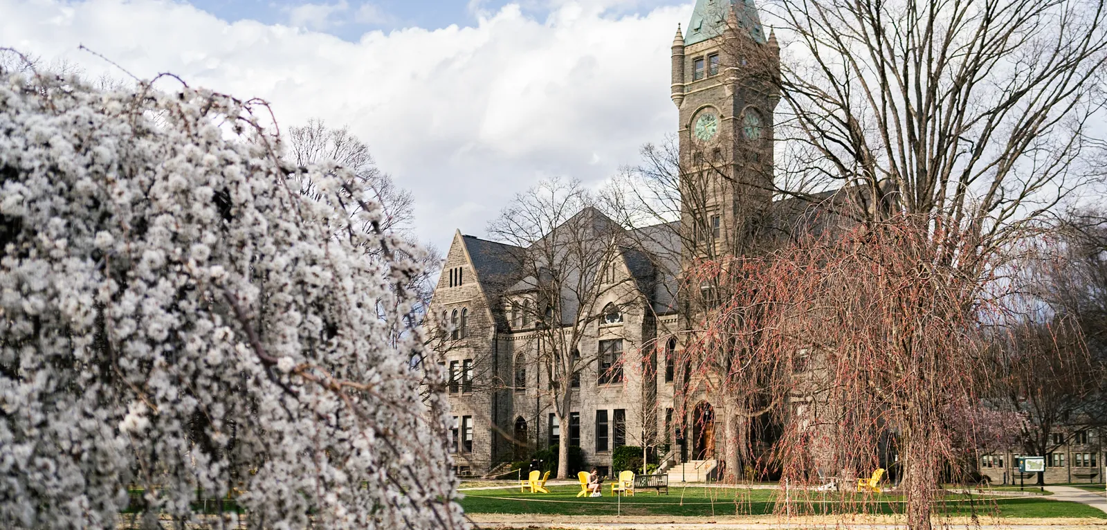 Taylor Hall and cherry blossoms
