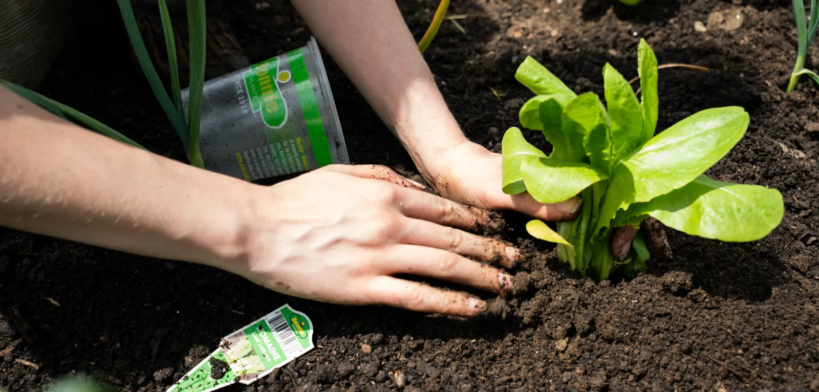 Earth Week Planting