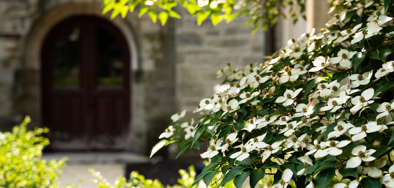 Arch & Flowers