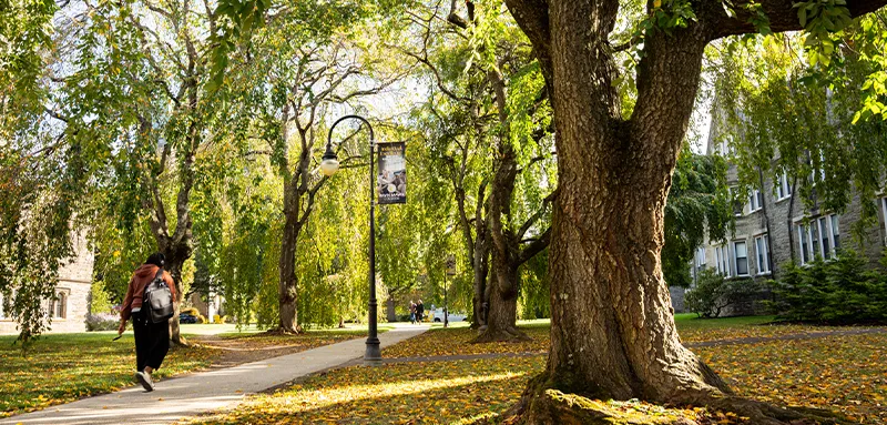 Student walking on campus under trees with golden leaves and Bryn Mawr College banner hanging on the lightpole