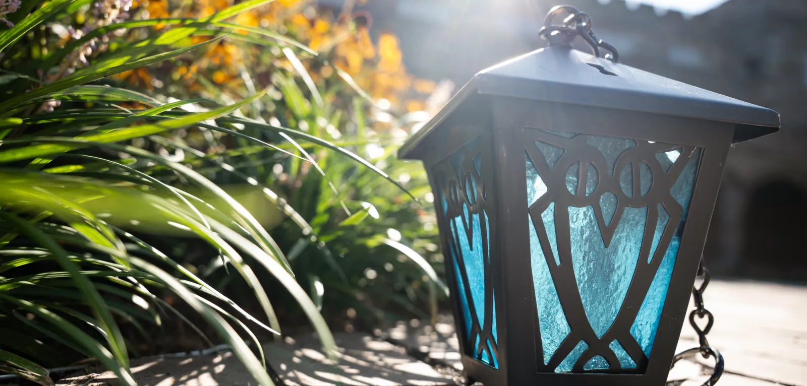 Owl Lantern near yellow flowers