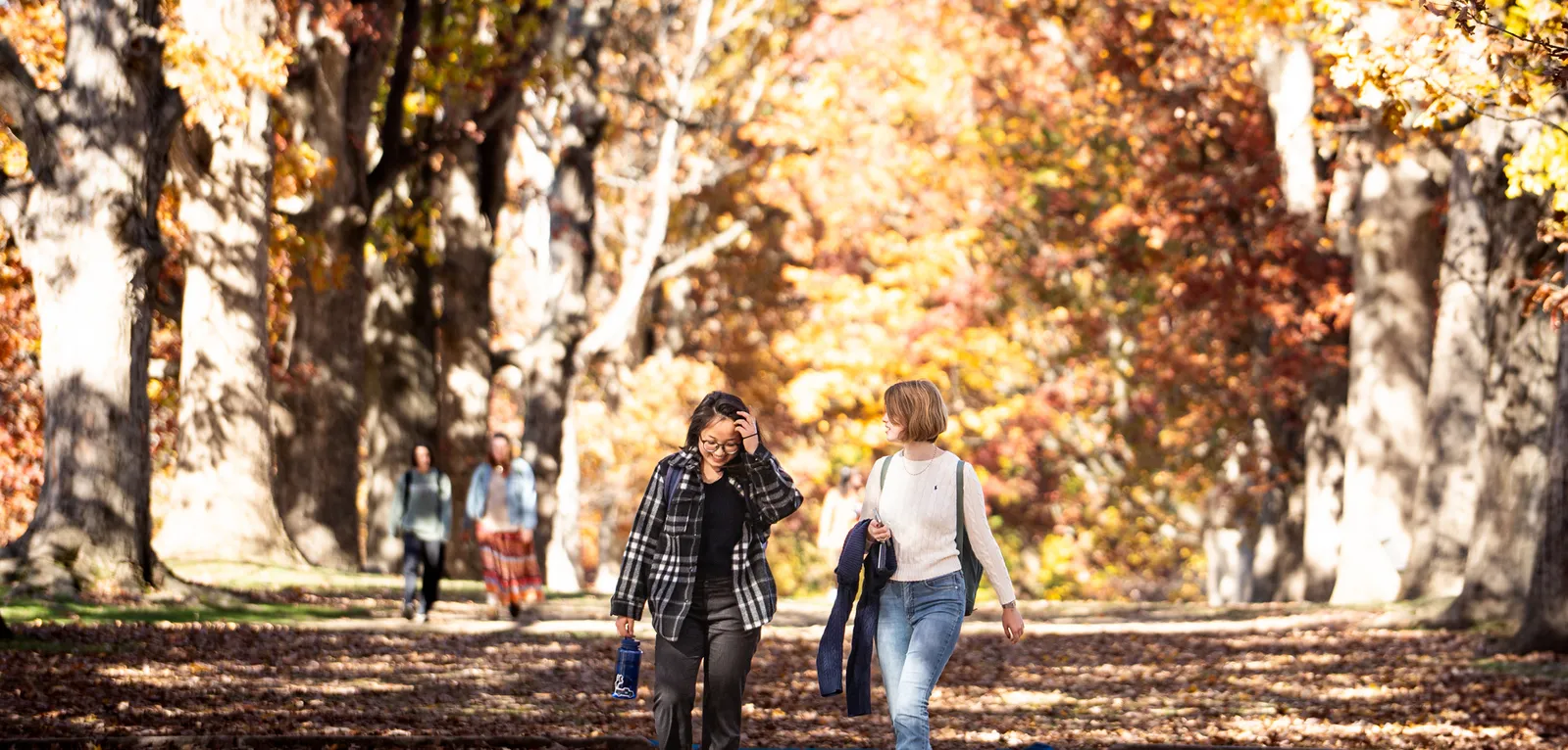 Fall Campus Beauty