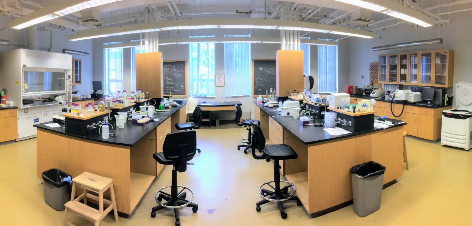 Kung Lab