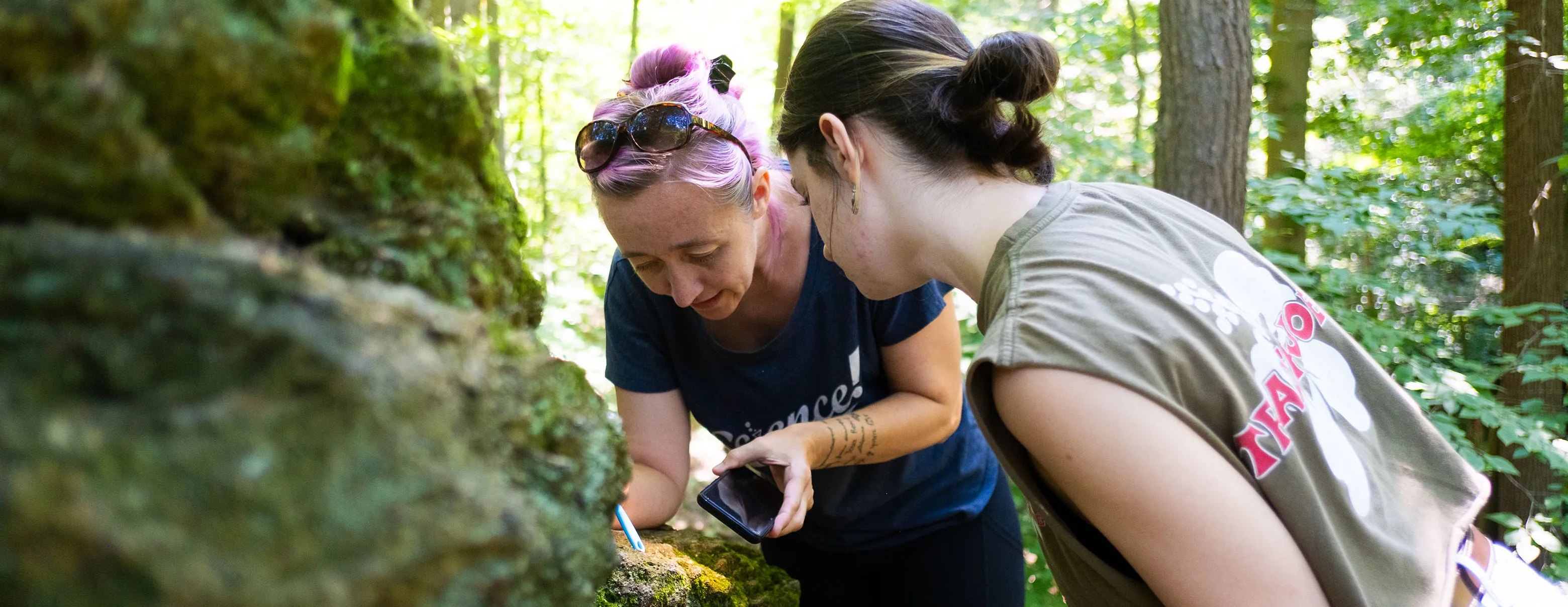 Sustainability - Teaching and Learning - Geology