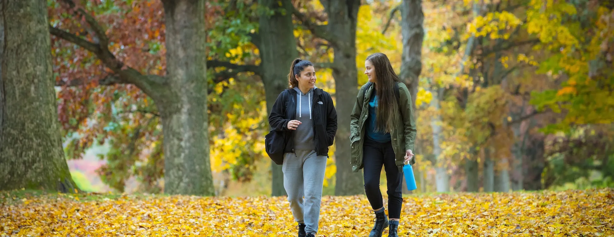 Students autumn