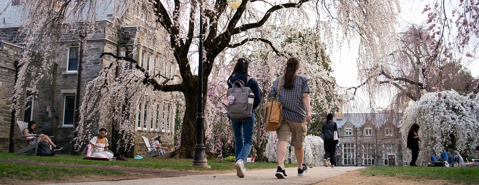 BMC Students and Cherry Blossoms