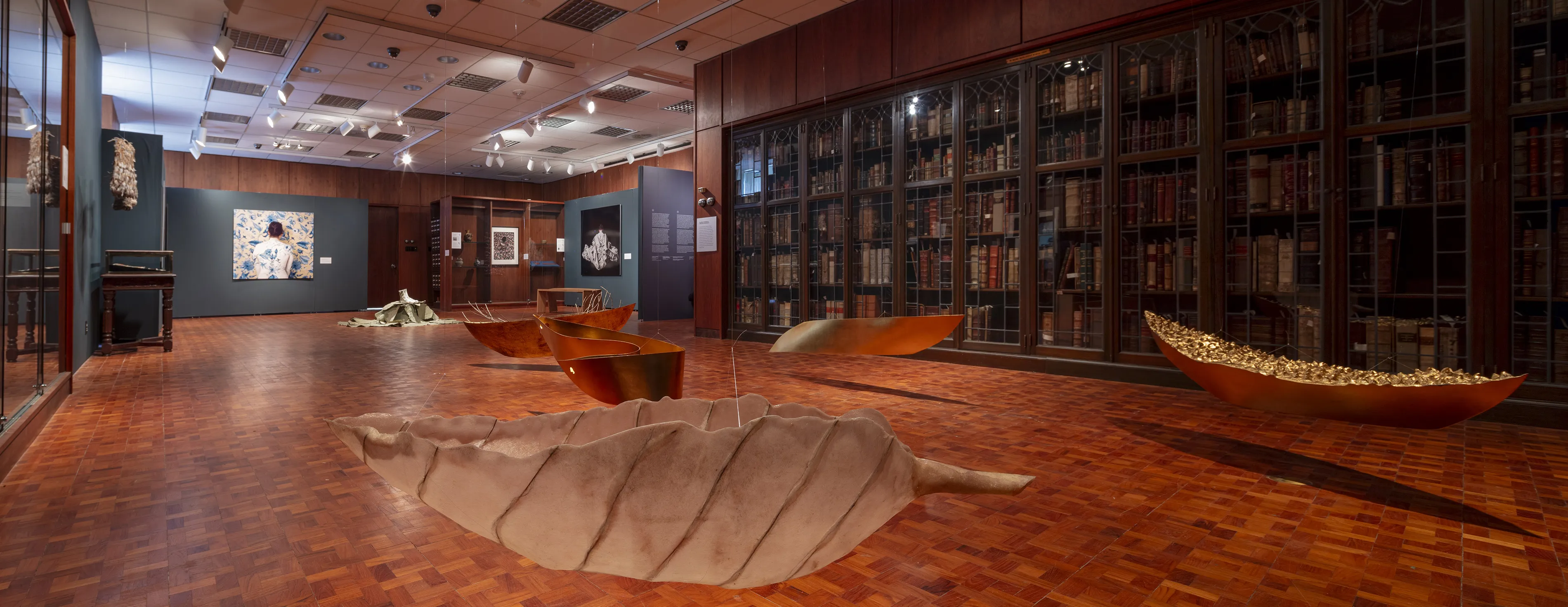 Special Collections - Home - Hero