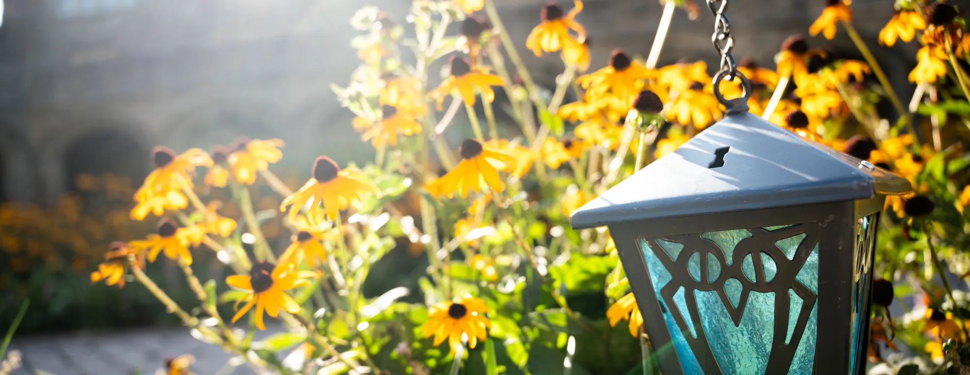 Bryn Mawr Beacon Initiative hero image