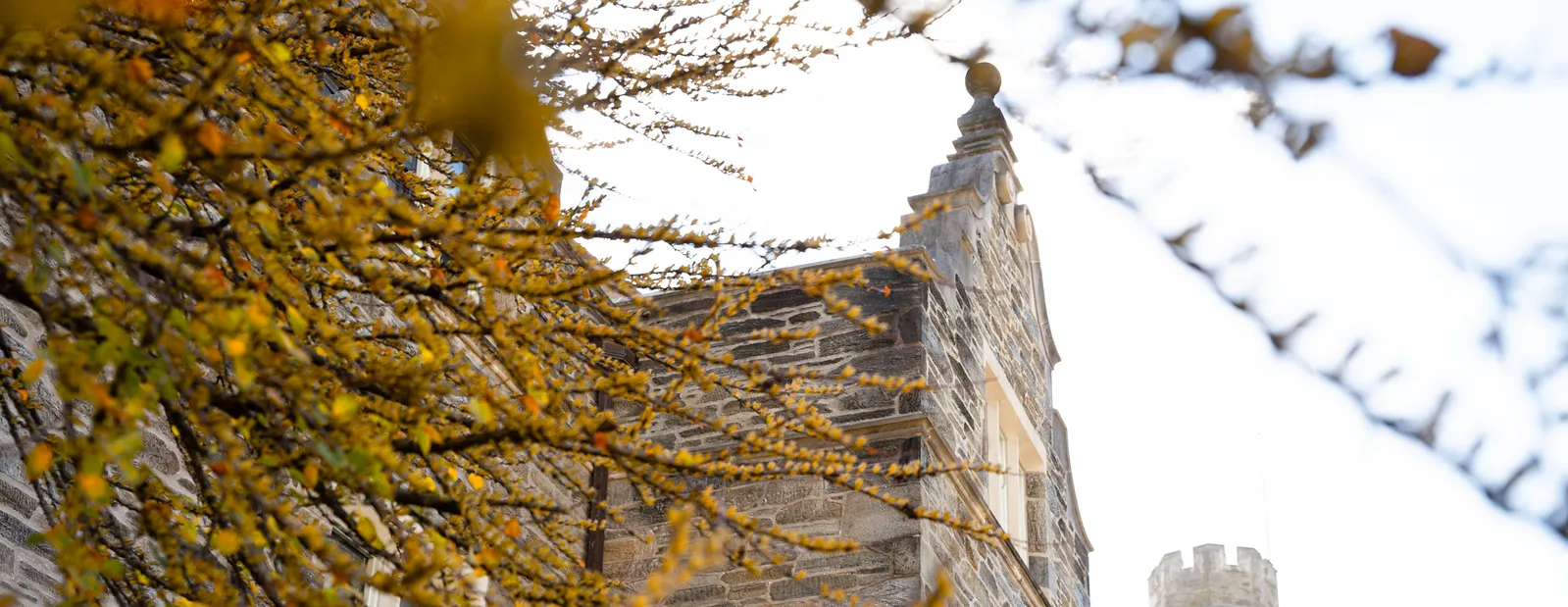 Campus building and fall leaves