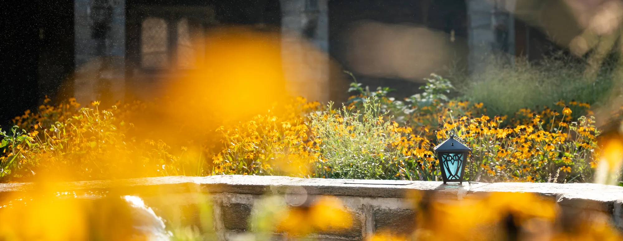 blue-lantern-cloisters